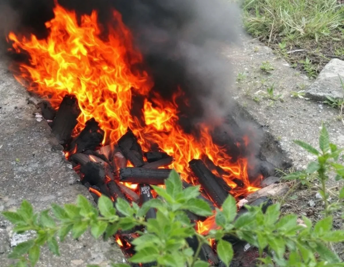 Responsabilité pour pollution accidentelle massive : cadre juridique et enjeux contemporains